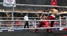 Kick Boks Türkiye Şampiyonası Bolu’da Devam Ediyor